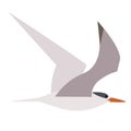 Flying seagull flat illustration on white Royalty Free Stock Photo