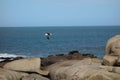 Flying of a seagull Royalty Free Stock Photo