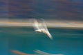 Flying seagull with speed and paint effect Royalty Free Stock Photo