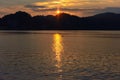 Flying seagull sunset over the mountains in the background