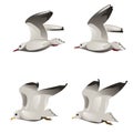 Flying Seagulls Royalty Free Stock Photo