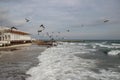 Flying seagulls at the beach. Sundown or time after the sunset with open sea and flying gulls. Royalty Free Stock Photo