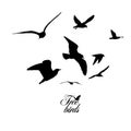 Flying seagulls. Free birds. Vector illustration Royalty Free Stock Photo