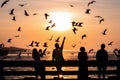 Flying seagulls over sunrise sky