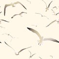 Flying seagulls Royalty Free Stock Photo