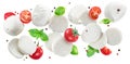 Flying slices of mozzarella cheese with cherry tomatoes, pepper and basil isolated on white background Royalty Free Stock Photo