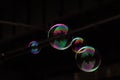 Flying soap bubbles Royalty Free Stock Photo