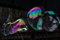 Flying soap bubbles Royalty Free Stock Photo