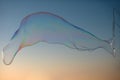 Flying soap bubbles on sky blue background at sunset. Royalty Free Stock Photo