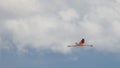 Flying solitary Rosy Flamingo over Calafate town, at the Nimez Bird Reserve, Patagonia, Argentina