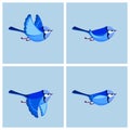 Flying Splendid Fairy Wren male animation sprite sheet