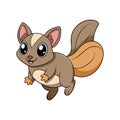 Flying Squirrel Coloring Template for Kids Royalty Free Stock Photo