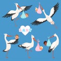 Flying stork baby. Bird delivery newborn cute little childrens vector carry stork characters isolated Royalty Free Stock Photo