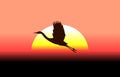Flying stork on a background of a sunset Royalty Free Stock Photo