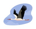 Flying stork bird with black and white feathering, long beak and legs, cartoon vector wildlife animal bird on blue sky