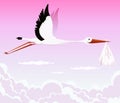 Flying Stork Delivering Girl Royalty Free Stock Photo