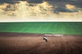 Flying stork over the green field and harvesting tractor