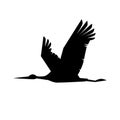 Flying stork silhouette, vector illustration isolated on white background Royalty Free Stock Photo