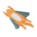 Flying supercat. Vector illustration Royalty Free Stock Photo