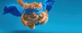 The flying superhero cat dressed in a blue costume against a vibrant background..AI generated image Royalty Free Stock Photo