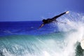 Flying surfer Royalty Free Stock Photo