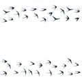 Flying swallow birds silhouettes vector illustration. Migratory martlets bevy isolated on white