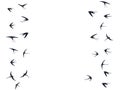 Flying swallow birds silhouettes vector illustration. Migratory martlets flock isolated on white. Royalty Free Stock Photo