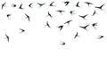 Flying swallow birds silhouettes vector illustration. Nomadic martlets bevy isolated on white