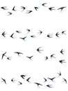 Flying swallow birds silhouettes vector illustration. Nomadic martlets flock isolated on white.