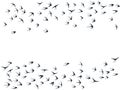 Flying swallow birds silhouettes vector illustration. Nomadic martlets group isolated on white. Royalty Free Stock Photo