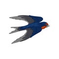 Flying swallow, graceful bird with red plumage around the beak and dark blue wings, top view vector Illustration on a