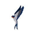 Flying swallow, graceful bird with red plumage around the beak and dark blue wings vector Illustration on a white