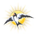 Flying Swallow on Shining Sun Background