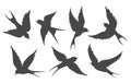 Flying swallows silhouettes isolated