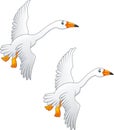 Flying swan high quality color