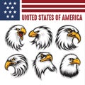 Hawk Eagle Head USA Logo Mascot Icon Vector Illustrator