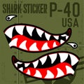Flying Tiger Warhawk Art Military Shark Mouth Sticker Vinyl on green  background Vector illustrator Royalty Free Stock Photo
