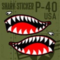 Flying Tiger Warhawk USA Shark Mouth Sticker Vinyl on green  background Vector illustrator Royalty Free Stock Photo