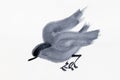 Flying tit bird hand drawn in sumi-e on paper