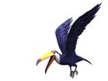 Flying toucan bird Royalty Free Stock Photo