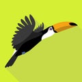 Flying toucan icon, flat style