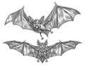 Flying vampire bat. Vintage sketch vector illustration. Design elements for Halloween holiday decoration