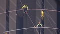 The Flying Wallendas In Times Square 100