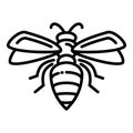 Flying wasp icon, outline style