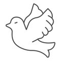 Flying wedding dove thin line icon, domestic animals concept, Flying bird sign on white background, pigeon bird icon in