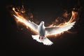 Flying White Dove with Fiery Glow on a Dark Background, Embodying Peace and the Gifts of the Holy Spirit. created with Generative