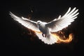 Flying White Dove with Fiery Glow on a Dark Background, Embodying Peace and the Gifts of the Holy Spirit. created with Generative