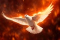 Flying white dove in fire background. Symbol of the Holy Spirit descent upon the Apostles and other followers of Jesus. Royalty Free Stock Photo