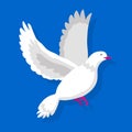 Flying white pigeon isolated on blue background vector illustration Royalty Free Stock Photo