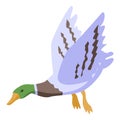 Flying wild duck icon, isometric style Royalty Free Stock Photo